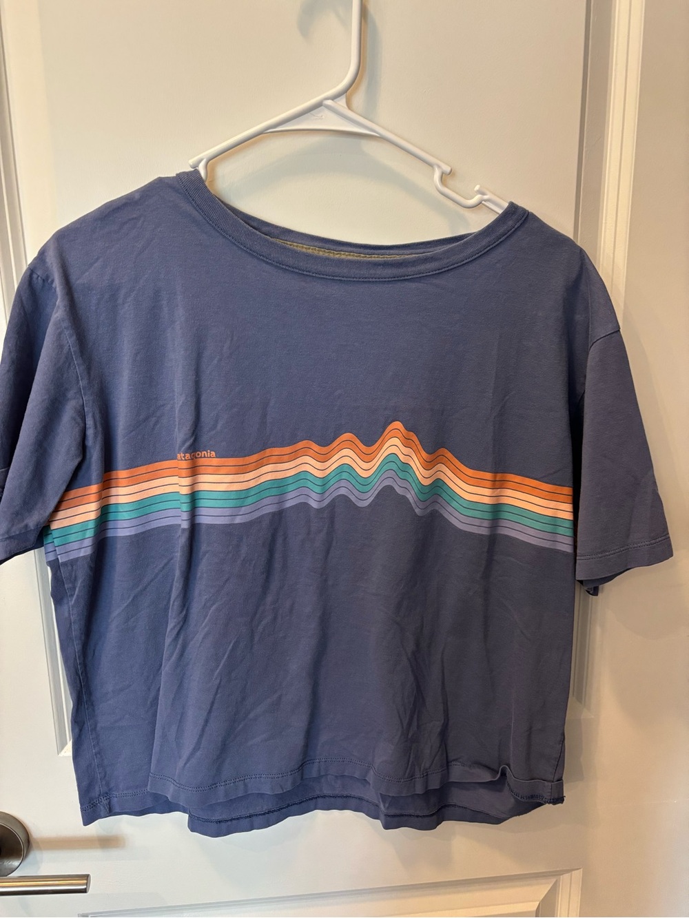 Patagonia Blue Short-Sleeve Tee with Multicolor Wave Graphic